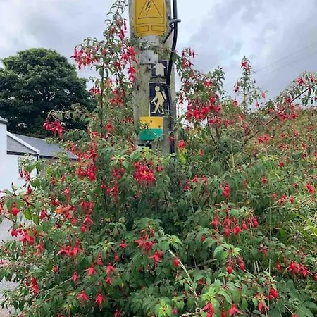 Castlegregory-seaside 2 Bedroomed